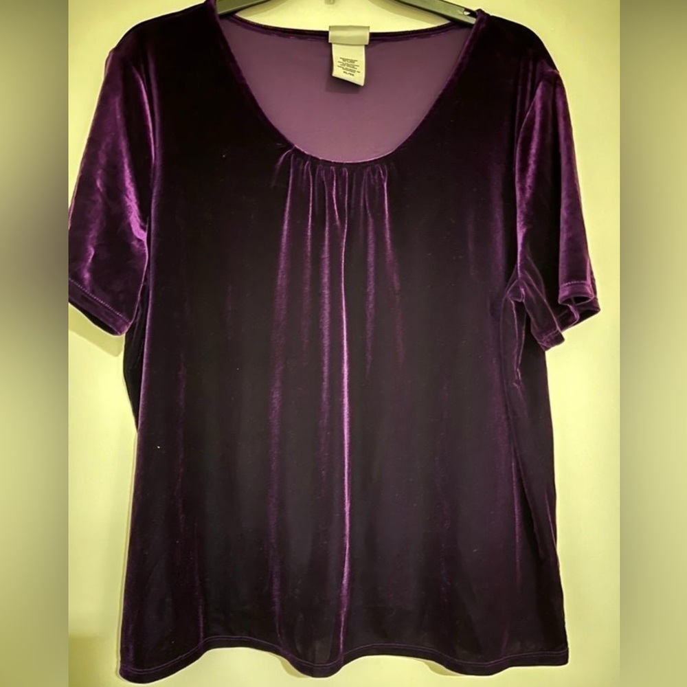 NEW Elegant Purple Velvet Women's Top